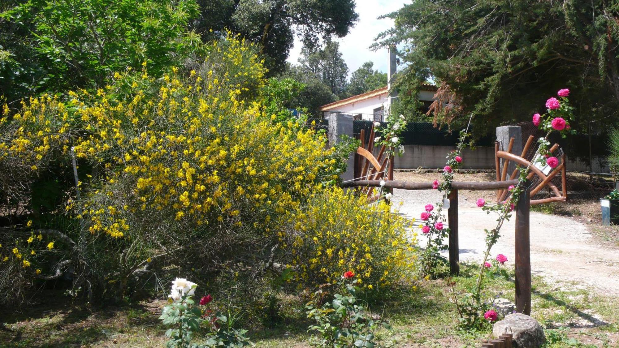 Casa Solotti Casa de hóspedes Nuoro  Exterior foto